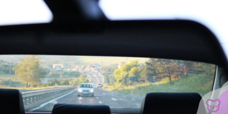 2025 in the Rear View Mirror: The Year that Was