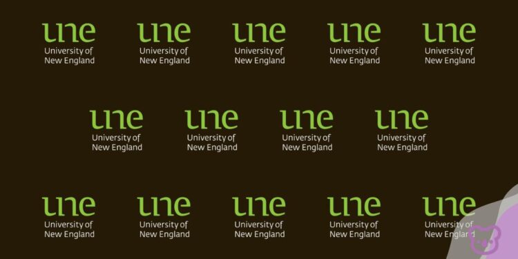 UNE charts an unconventional future with renewed focus on global partnerships and international engagement