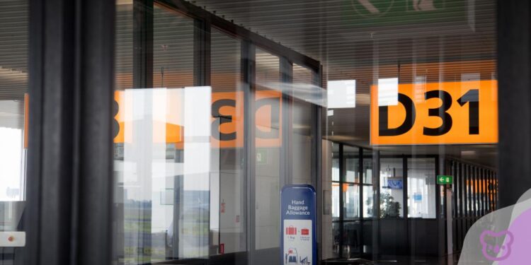 Australia’s $53bn international education industry is leaving global talent on the table