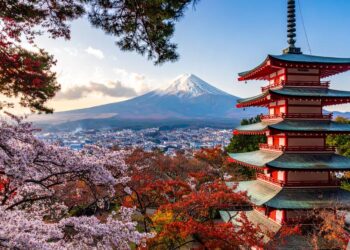 Australian Japan Basic Treaty of Friendship and Cooperation… and MEXT Scholarships