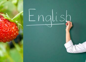 $10 strawberries, empty farms, and another hit for ELICOS: the Working Holiday visa pause