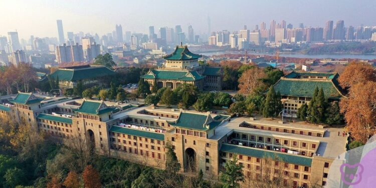 ECA takes Australian qualification offshore with Wuhan University partnership