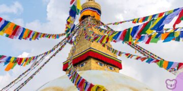 Nepal needs more than sympathy: Why not International Education community stand with Nepal?